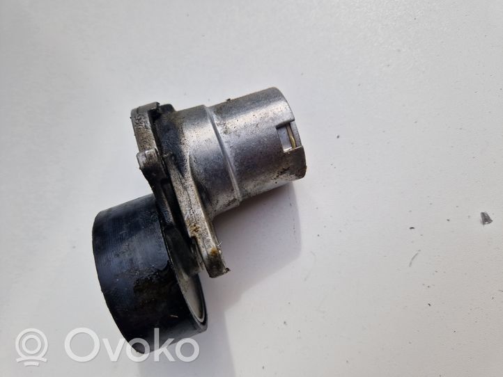 Audi Q3 F3 Lichtmaschine Riemenspanner Spannrolle Keilrippenriemen Keilriemen 06L903133D