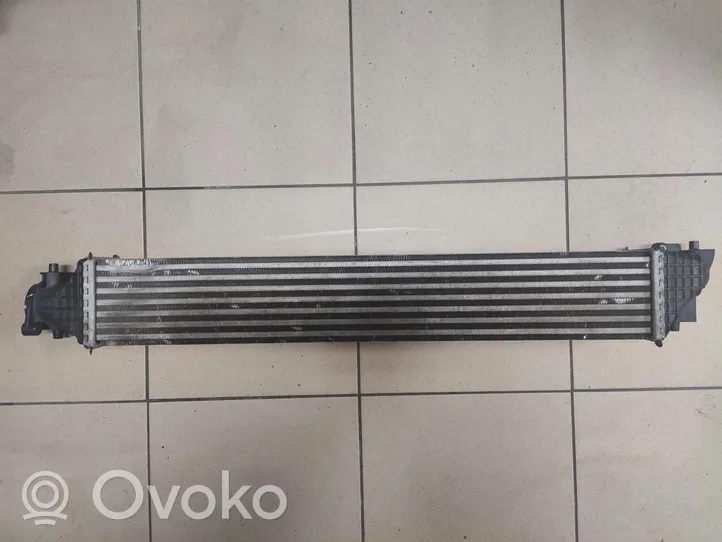 Honda Civic X Intercooler radiator 