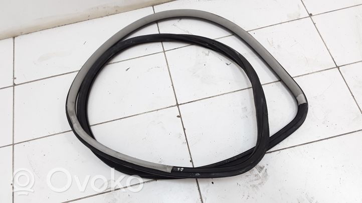 Volkswagen PASSAT B5.5 Front door rubber seal 