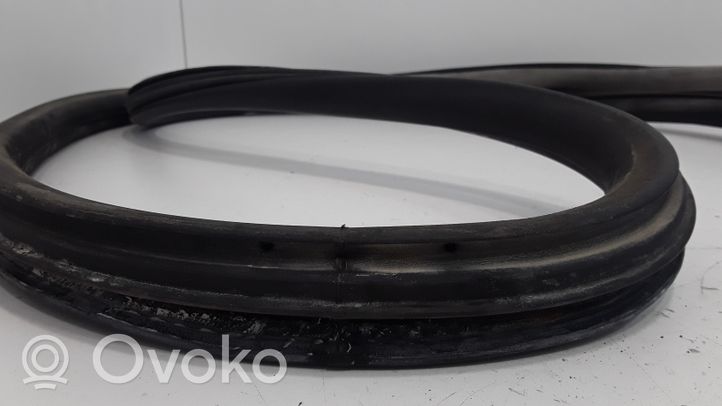 Volkswagen PASSAT B5.5 Front door rubber seal 