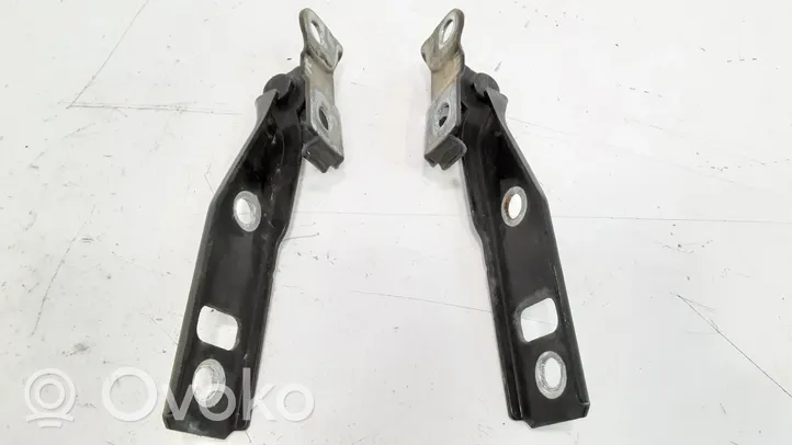 Volkswagen Golf IV Engine bonnet/hood hinges 