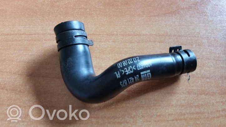 Opel Signum Tubo di sfiato 24421875