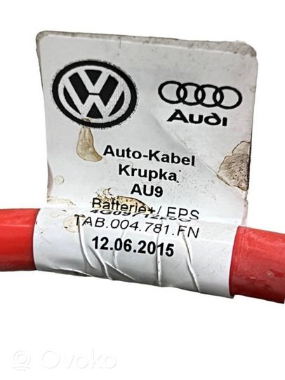 Audi RS6 C7 Pliusinis laidas (akumuliatoriaus) 4G0971225G