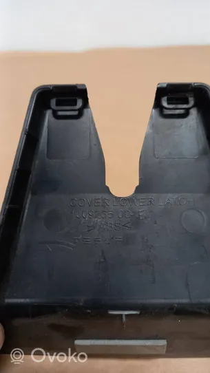 Tesla Model S Rivestimento serratura portellone posteriore/bagagliaio 100926500E