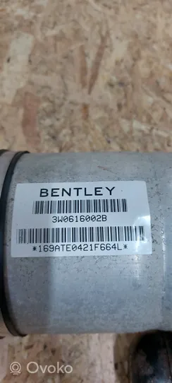 Bentley Continental Air suspension rear shock absorber 3W0616002B