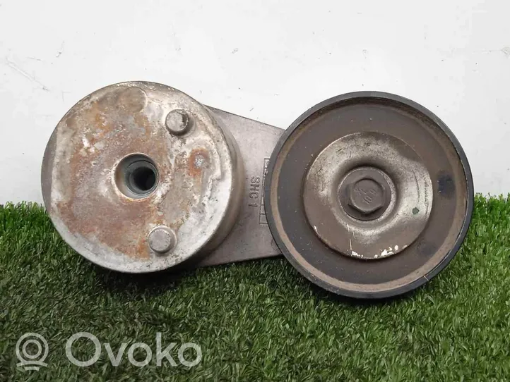 Nissan Atleon Napinacz paska alternatora 