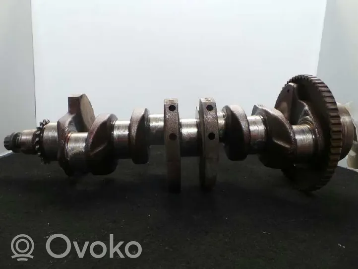 Seat Leon (1M) Crankshaft 