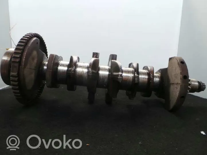 Seat Leon (1M) Crankshaft 