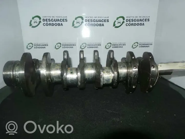 KIA Carnival Crankshaft 