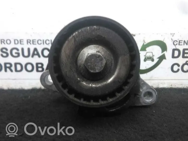 Renault Clio II Napinacz paska alternatora 