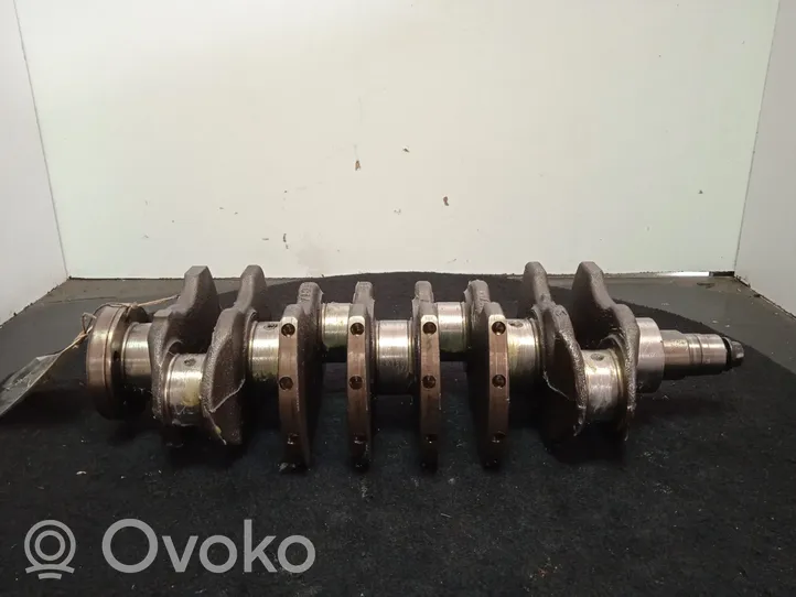 Fiat Grande Punto Crankshaft 