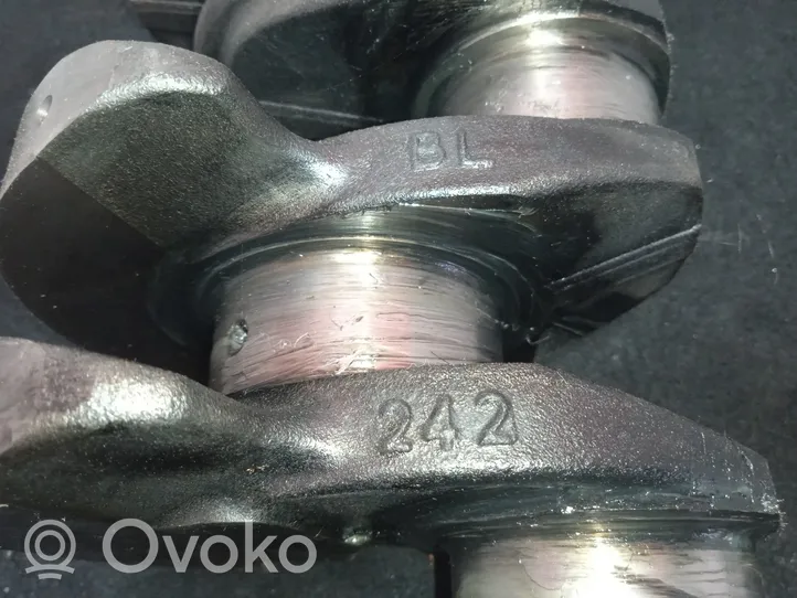 Citroen Jumper Crankshaft 