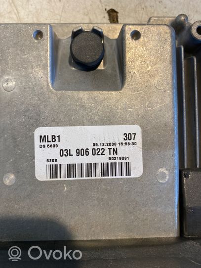 Audi A4 Allroad Sterownik / Moduł ECU 03L906022TN