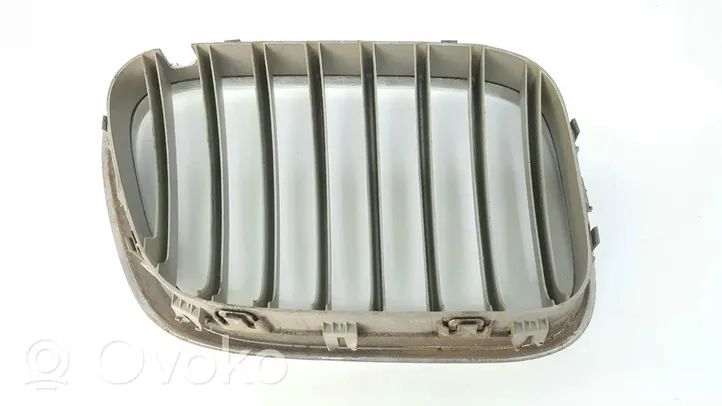 BMW X5 E53 Maskownica / Grill / Atrapa górna chłodnicy 51138247673