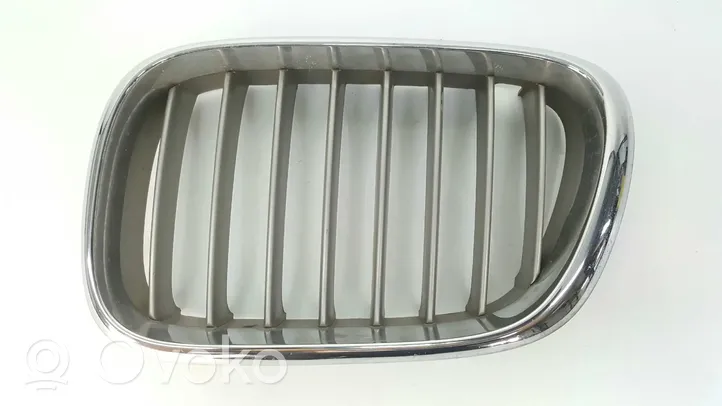 BMW X5 E53 Maskownica / Grill / Atrapa górna chłodnicy 51138247673