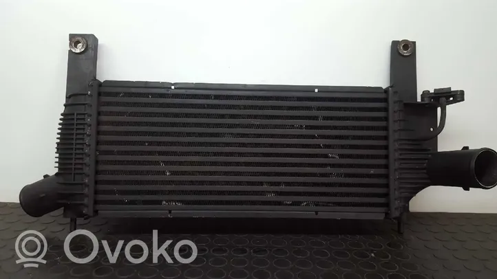 Nissan Pathfinder R51 Radiatore intercooler 