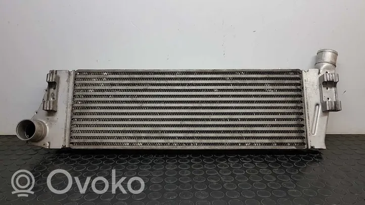 Renault Megane II Intercooler radiator 