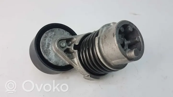 Renault Clio IV Napinacz paska alternatora 