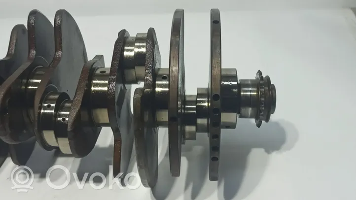 Volkswagen Phaeton Crankshaft 022105101D