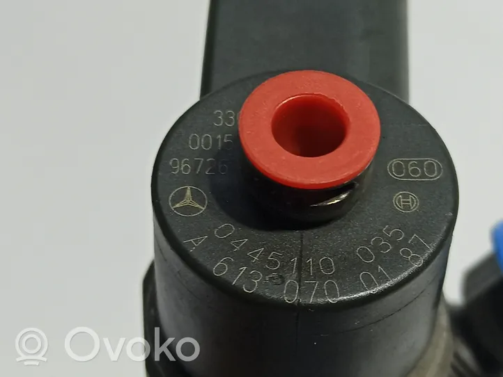 Mercedes-Benz S W220 Fuel injector A6130700587