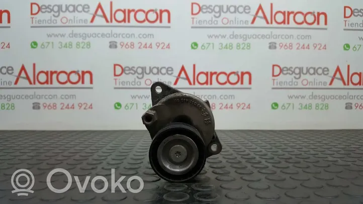 Citroen C5 Diržo įtempėjas 9805244980