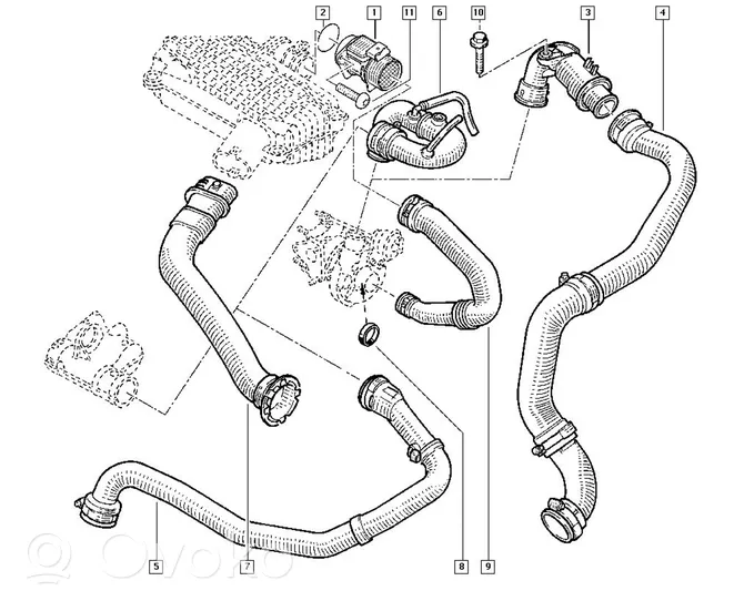 Renault Clio II Eļļošanas caurulīte (-es) / šļūtene (-es) 8200164148