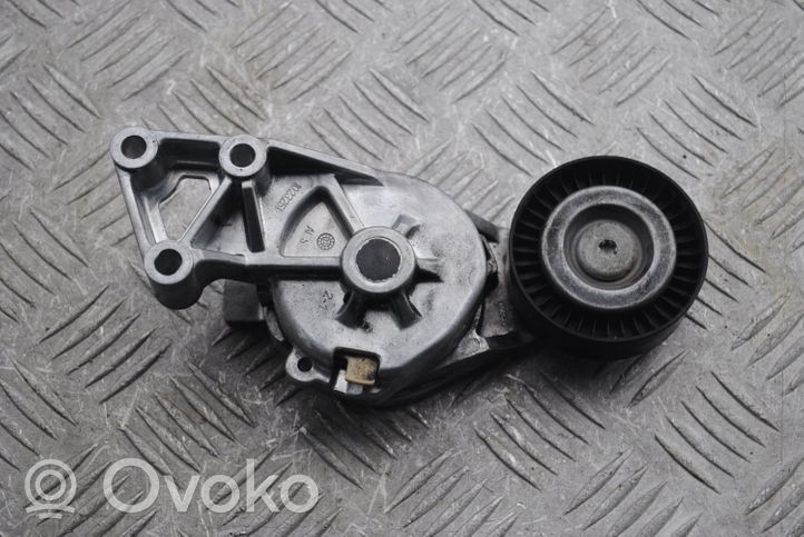 Volkswagen Bora Napinacz paska wielorowkowego / Alternatora 950372