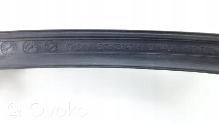 BMW X6 F16 Rubber seal rear door USZCZELKA