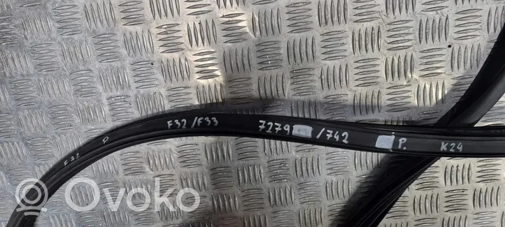 BMW 4 F32 F33 Front door rubber seal 7279742