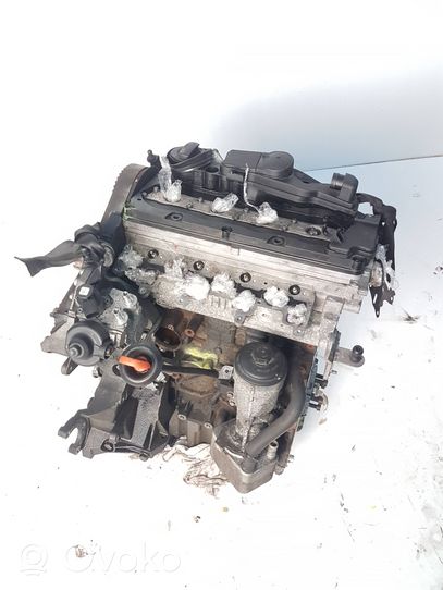 Audi A4 S4 B8 8K Motor 03L021BG