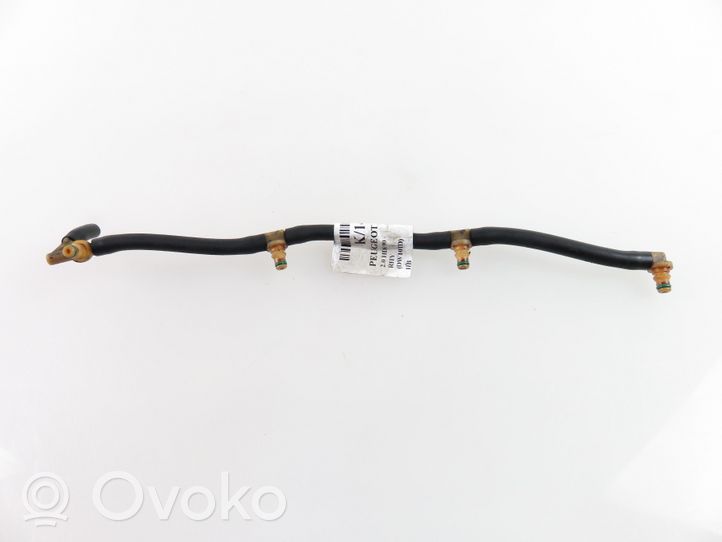 Peugeot 307 Fuel injector supply line/pipe 