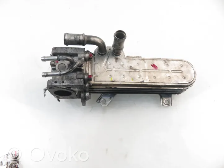 Volkswagen Golf V Valvola di raffreddamento EGR 038131513D