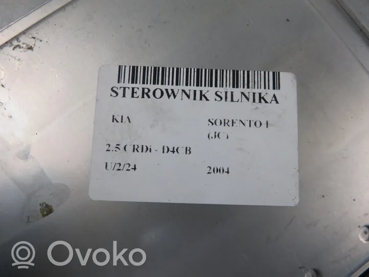 KIA Sorento Sterownik / Moduł ECU 391004A810