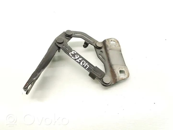 Mercedes-Benz ML W164 Cerniere del vano motore/cofano A2518800228