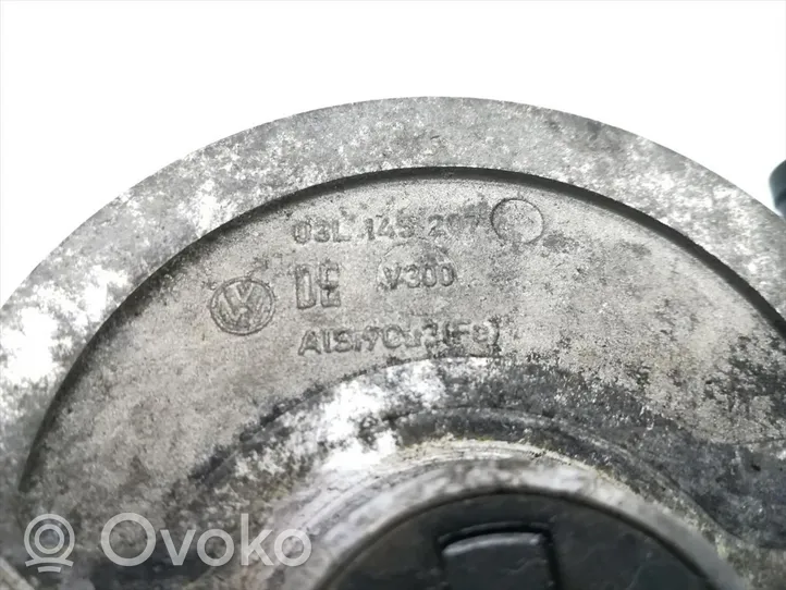 Skoda Fabia Mk2 (5J) Pompa podciśnienia 03L145207