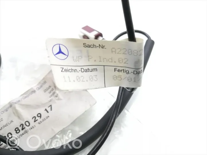 Mercedes-Benz S W220 Muu johtosarja A2208202917