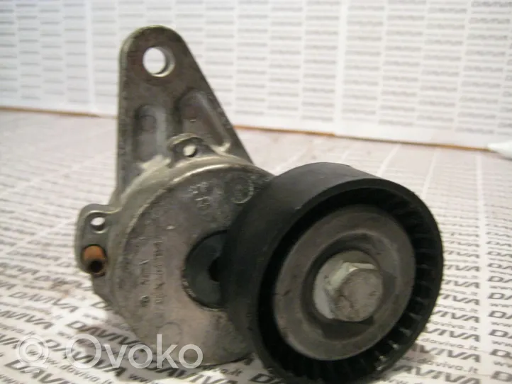 Volkswagen Golf Cross Koło pasowe napinacza paska alternatora 04L903315A