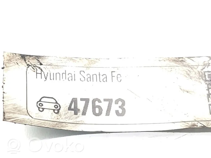 Hyundai Santa Fe Galvutės dangtelis 22410-2F000