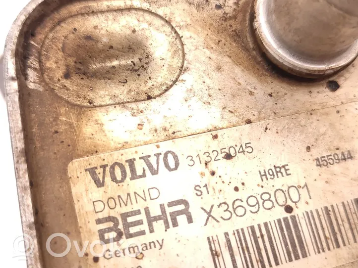 Volvo V40 Moottoriöljyn jäähdytinlaite 31325045