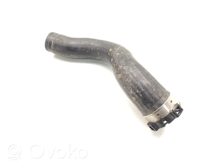 Ford Focus Tube d'admission de tuyau de refroidisseur intermédiaire LX61-6C646-MA