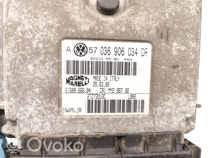 Volkswagen Golf IV Variklio valdymo blokas 036906034DR
