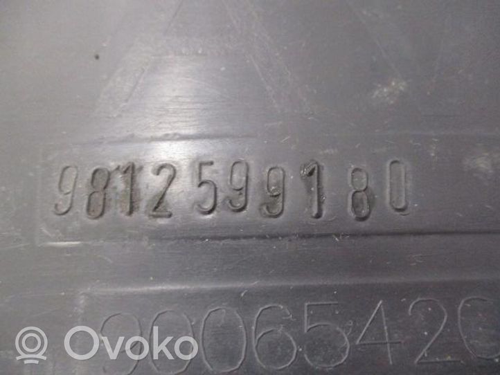 Citroen C4 Grand Picasso Nadkole przednie 9812599180