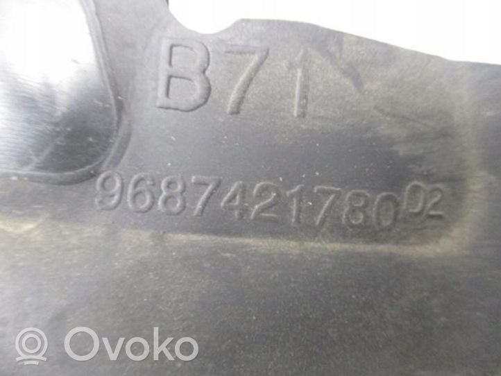 Citroen C4 II Osłona chłodnicy 9687421780