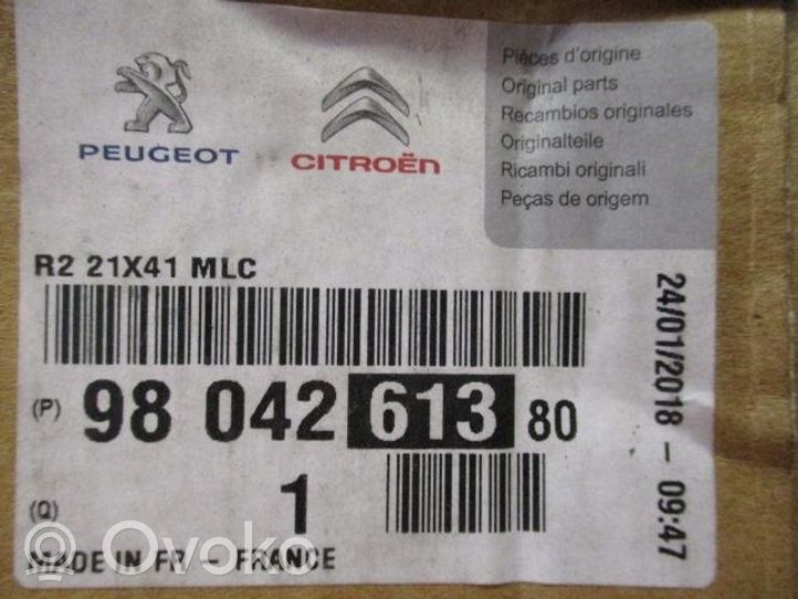 Citroen Jumper Pignon de chaîne de distribution 9804261380