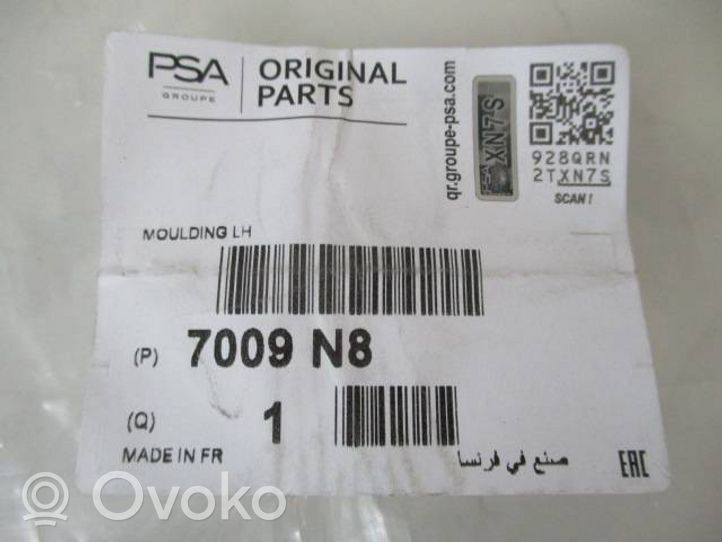 Citroen C5 Jalkatilan sivukoristelista 9681060880