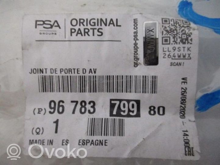 Citroen C4 II Joint en caoutchouc de corps de porte avant 9678379980