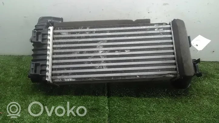 Ford Transit -  Tourneo Connect Radiatore intercooler BV619L440CK