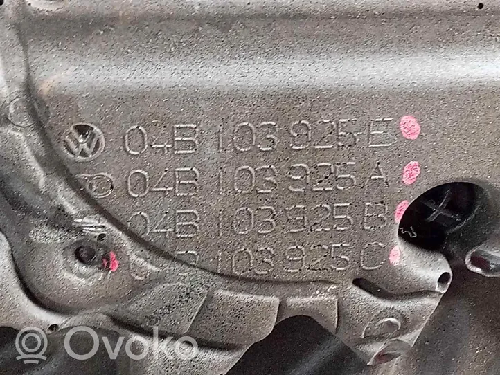 Seat Ibiza IV (6J,6P) Kita variklio detalė 04B103925E