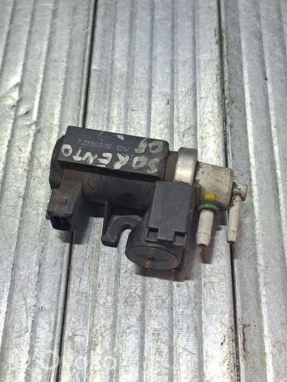 Hyundai Terracan Solenoidinis vožtuvas 72190316