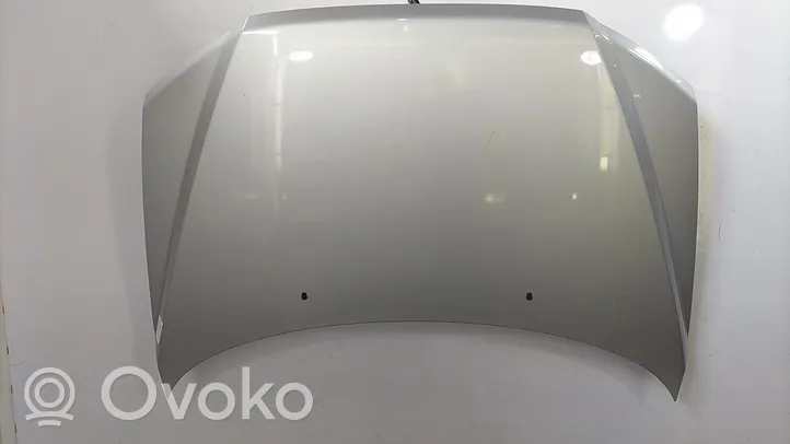 Mitsubishi Space Wagon Vano motore/cofano 